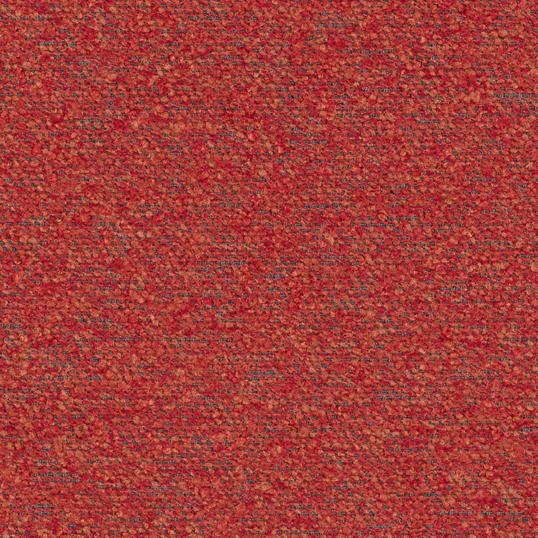 Salsa
